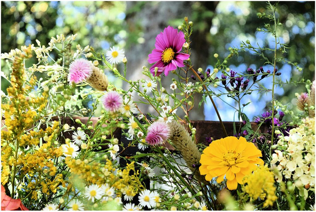 A blooming garden inspiring our summer fragrance collection